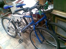 These bikes from the Bower were $135 each